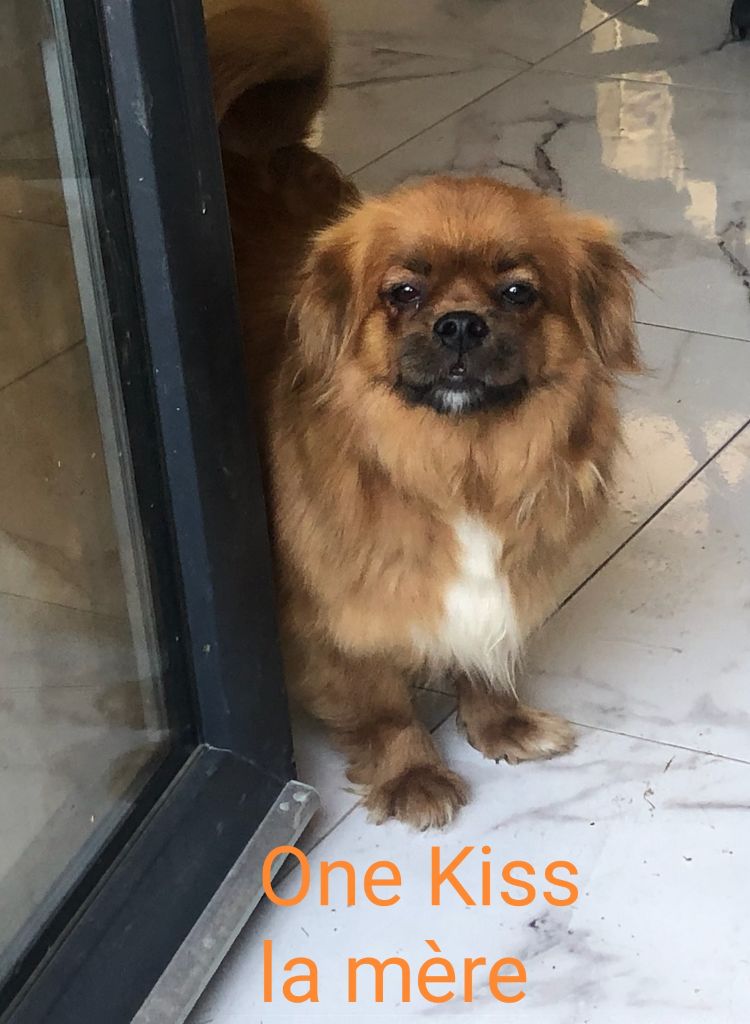 One kiss Des Ames Tourmentées